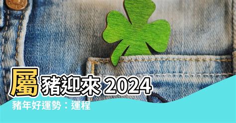 2024年 豬|【2024豬年】生肖豬2024好運滾滾來！屬豬運勢、幸。